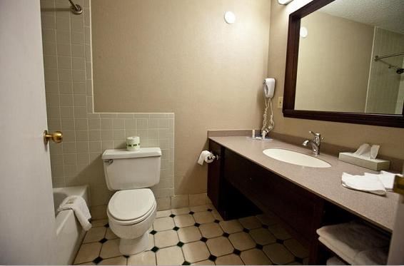 The Atrium Hotel And Conference Center スプリングデール 部屋 写真